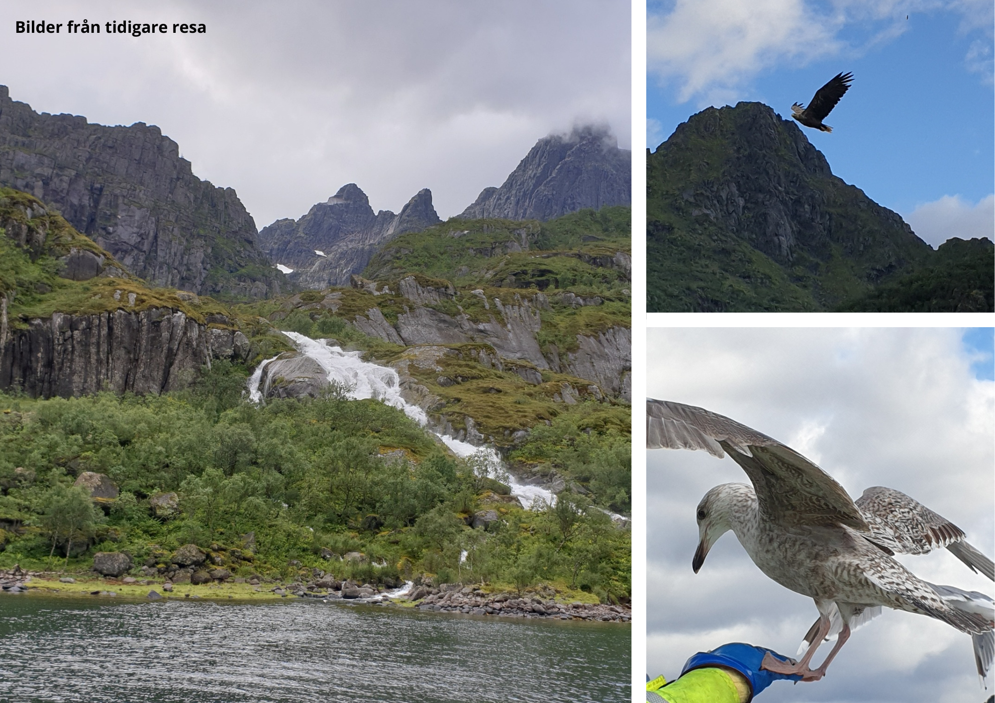IN MOT NORGE OCH RUNDTUR P� LOFOTS�ARNA